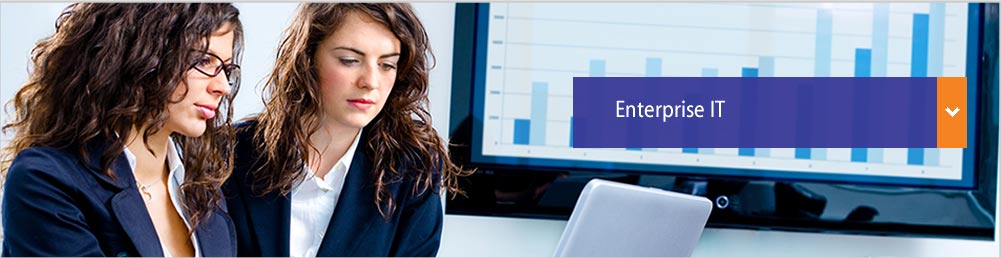 Enterprise IT services Qatalys